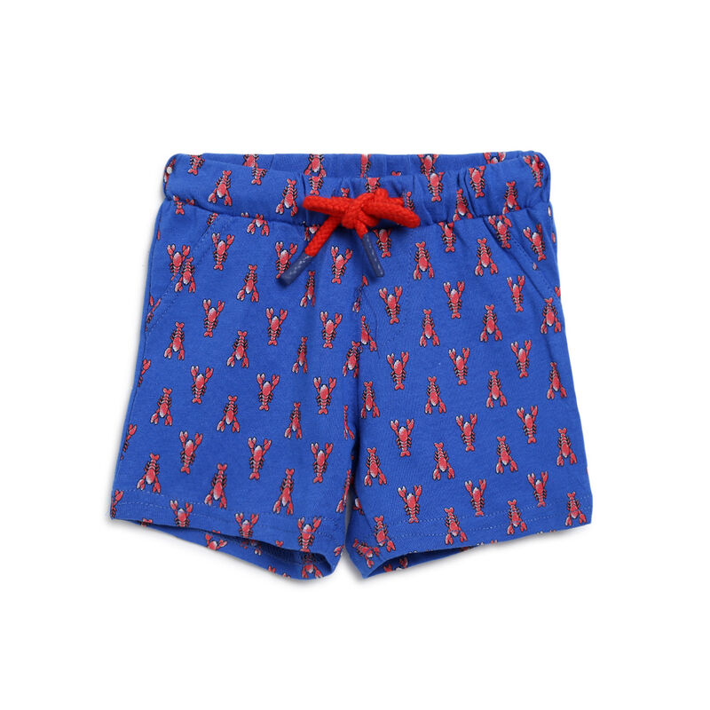 Boys White & Blue Printed 2 Pc Set T-shirt with Short Trousers image number null